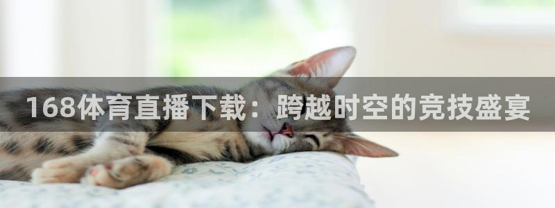 nba小九直播在线观看：168体育直播下载：跨越时空的竞技盛宴