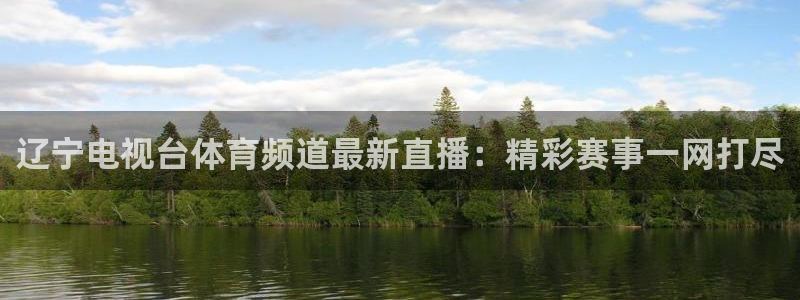 小九是谁：辽宁电视台体育频道最新直播：精彩赛事一网打尽