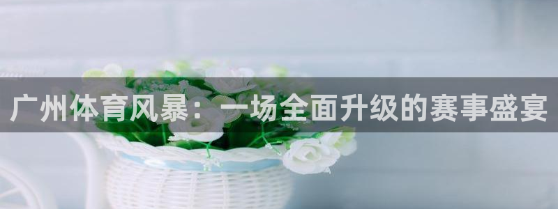 nba赛程直播在线观看视频小九：广州体育风暴：一场全面升级的赛事盛宴