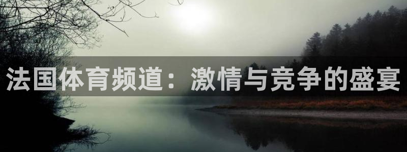 英超直播小九：法国体育频道：激情与竞争的盛宴